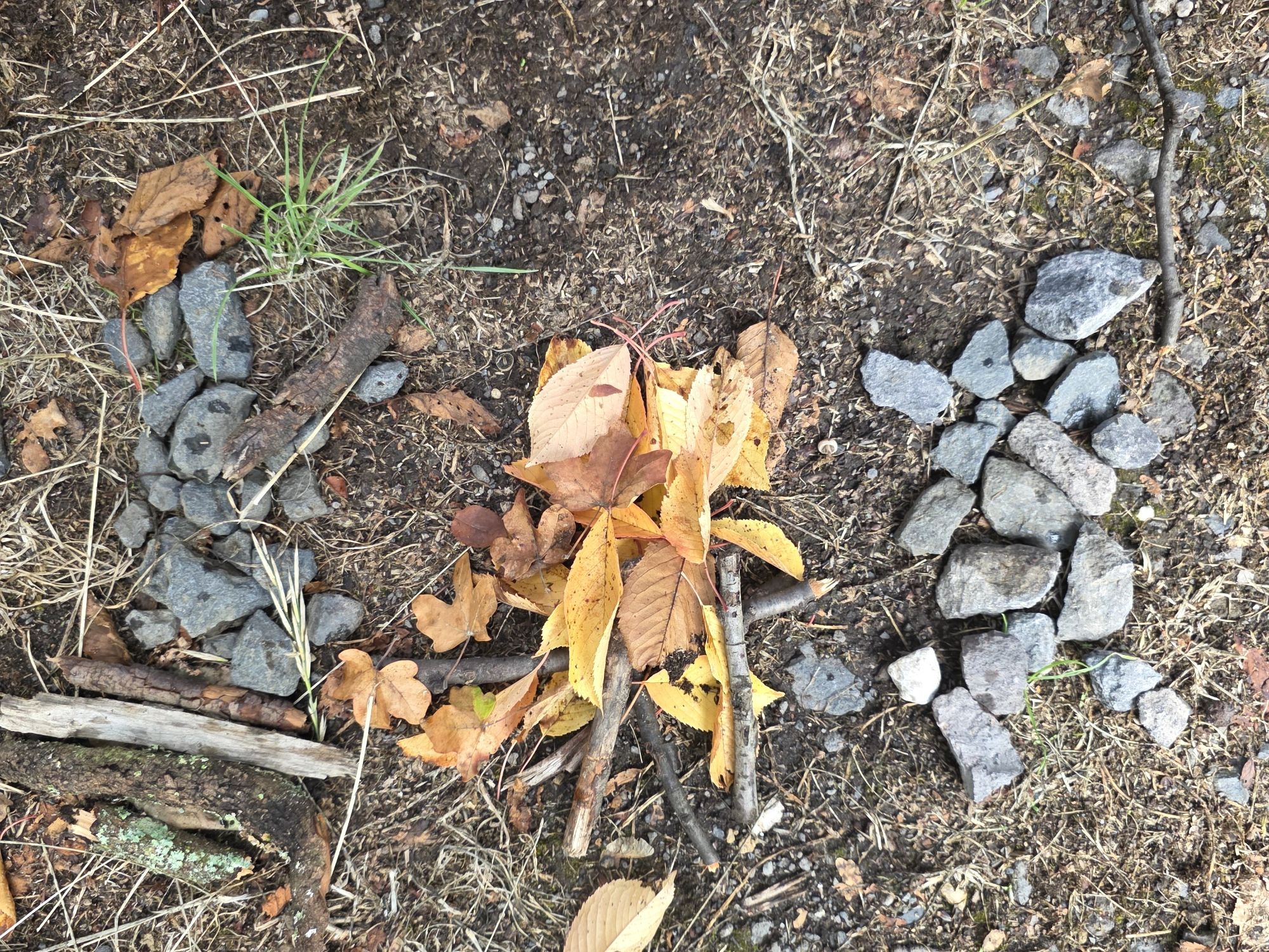 Das Bild zeigt das Schinnebröder-Logo, gelegt aus Naturmaterialien